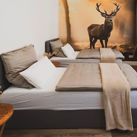 Apartment Moderne Altbauwohnung
