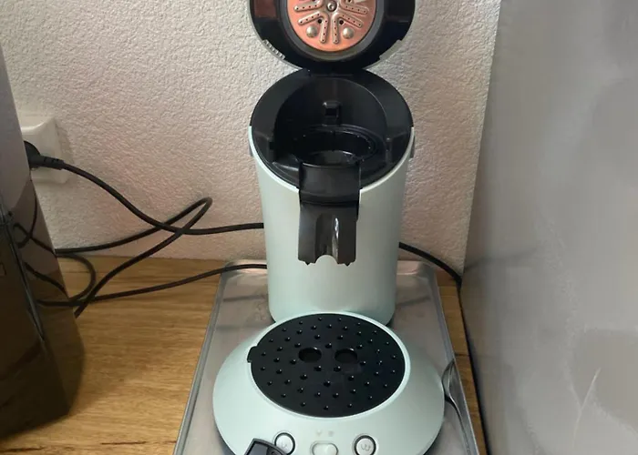 Moderne Altbauwohnung 公寓 普福尔茨海姆